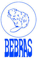 Logo for Bebras